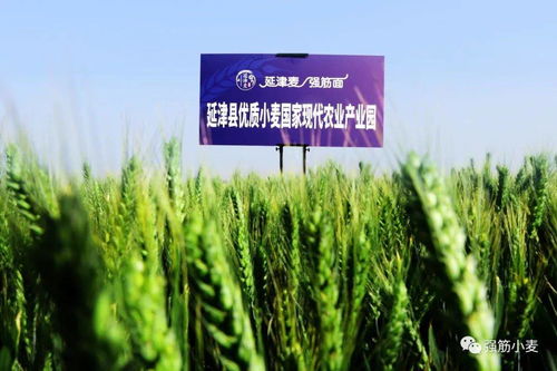 歲歲冬至，種業(yè)新篇