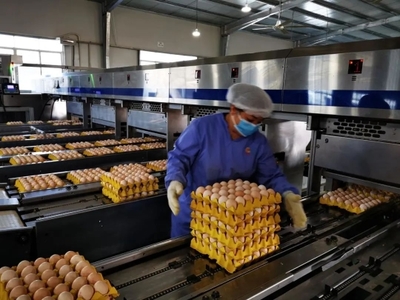 廣州入選國家級(jí)名單 種業(yè)發(fā)展獲國家認(rèn)可